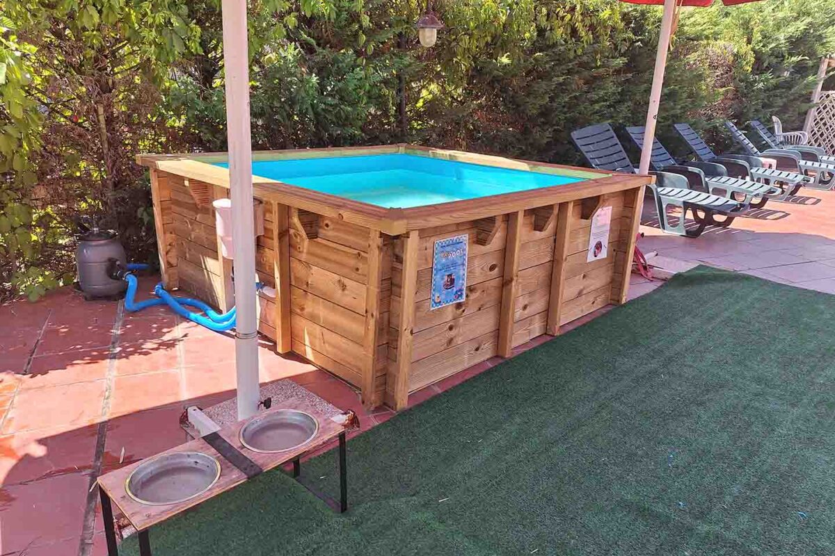 Piscina per Cani - Bau Pool - Hotel Duca della Corgna 2