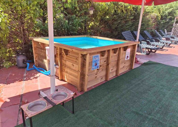Piscina per Cani - Bau Pool - Hotel Duca della Corgna 2